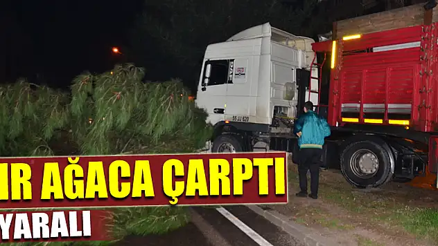 Samsun'da tır ağaca çarptı: 1 yaralı