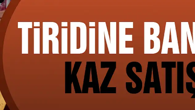 Tiridine banılmayınca kaz satışı düştü