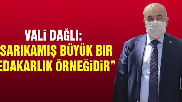 Vali Dağlı: 'Sarıkamış büyük bir fedakarlık örneğidir'