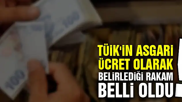 TÜİK'in asgari ücret olarak belirlediği rakam belli oldu!
