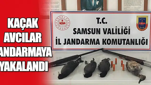 Kaçak avcılar jandarmaya yakalandı