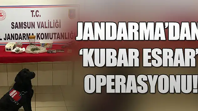 Jandarma'dan 'kubar esrar' operasyonu!