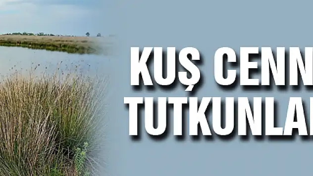 Kuş Cenneti fotoğraf tutkunlarını bekliyor