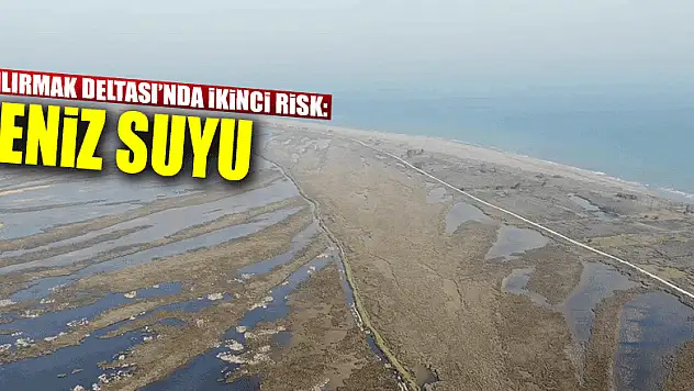 Kızılırmak Deltası'nda ikinci risk: Deniz suyu   