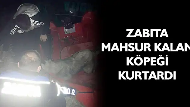 ZABITA MAHSUR KALAN KÖPEĞİ KURTARDI ​​​​​​​