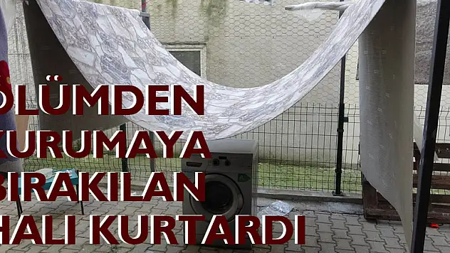 Cam silerken 3. kattan düşen kızı ölümden, kurumaya bırakılan halı kurtardı