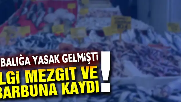 Hamsi yasağı sonrası ilgi mezgit ve barbuna kaydı