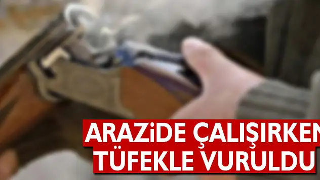 Arazide çalışırken tüfekle vuruldu