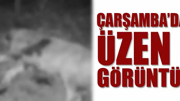 Çarşamba'da üzen görüntü!
