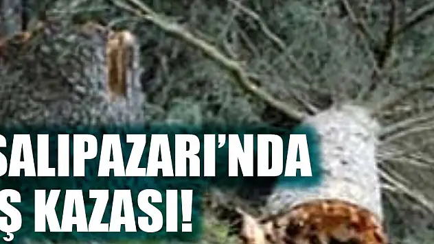 Salıpazarı İlçesinde bir kişi ağaç keserken hayatını kaybetti