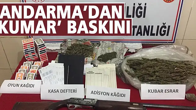 Jandarma'dan 'kumar' baskını
