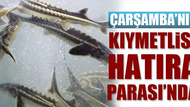 Çarşamba'nın Kıymetlisi Hatıra Parası'nda