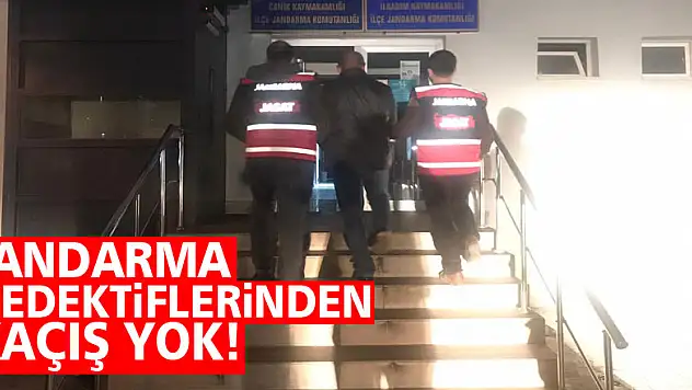Jandarma Dedektiflerinden Kaçış Yok!