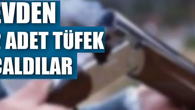 Evden 2 adet tüfek çaldılar