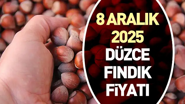 8 Aralık 2025 Düzce Fındık Fiyatı | Yeni Haftada Dengeli Başlangıç