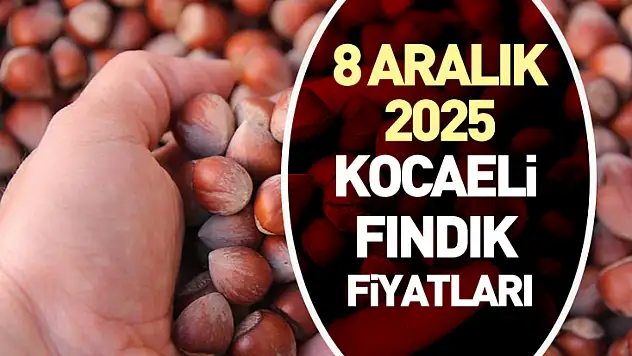 8 Aralık 2025 Kocaeli Fındık Fiyatları | Pazartesi Günü Piyasa Üst Bantta Başladı