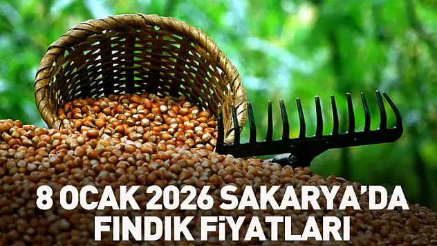 8 Ocak 2026 Sakarya'da Fındık Fiyatları 265 TL seviyesine dayandı
