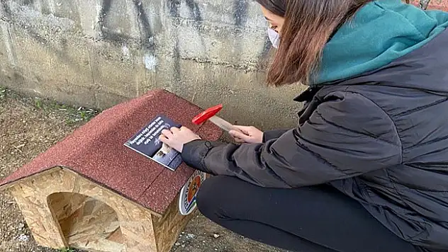 Öğrencilerden 'Kedi Park Projesi' 