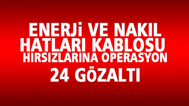 Jandarmadan enerji ve nakil hatları kablosu hırsızlarına operasyon: 24 gözaltı