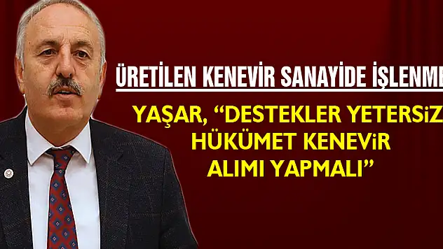Üretilen kenevir sanayide işlenmeli YAŞAR, 'DESTEKLER YETERSİZ, HÜKÜMET KENEVİR ALIMI YAPMALI'