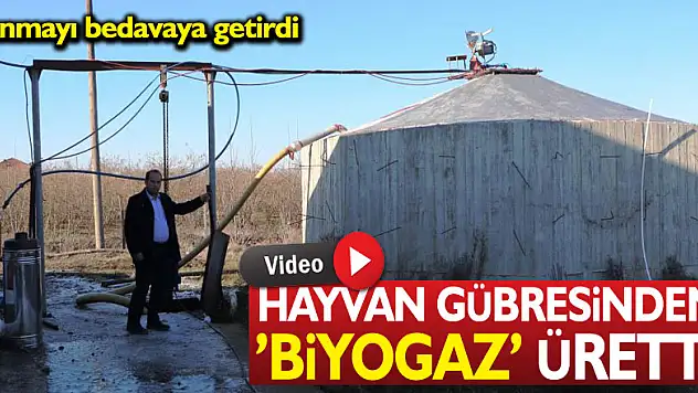 HAYVAN GÜBRESİNDEN BİYOGAZ ÜRETTİ