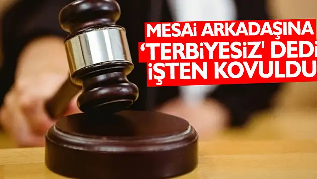 Mesai arkadaşına 'terbiyesiz' dedi işten kovuldu
