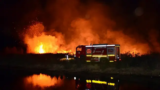 Samsun'da sazlık yangını