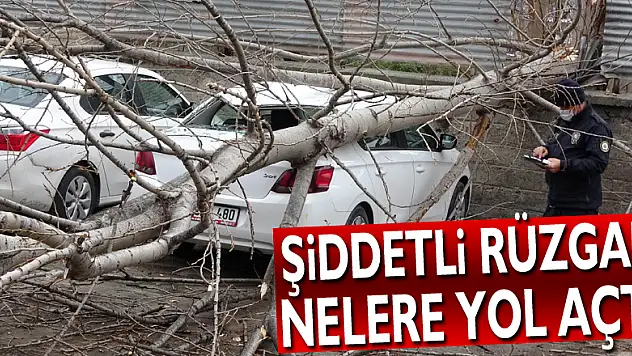 Samsun'da şiddetli rüzgarda kırılan ağaç otomobilin üzerine düştü