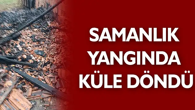 Samanlık yangında küle döndü 