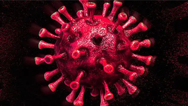 Türkiye'de son 24 saatte 7.909 koronavirüs vakası tespit edildi