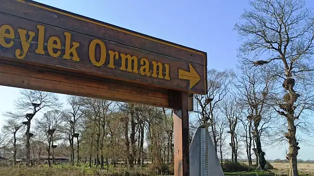 Leylek Ormanı misafirlerini bekliyor   