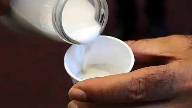 Veganlar için 'kenevir sütü'