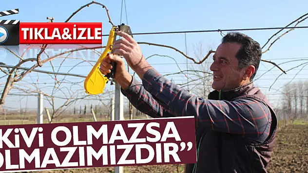 'Kivi olmazsa olmazımızdır'