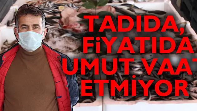 TADIDA, FİYATIDA UMUT VAAT ETMİYOR