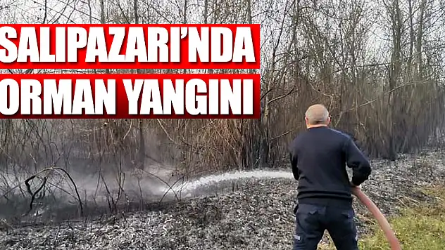 SALIPAZARI'NDA ORMAN YANGINI