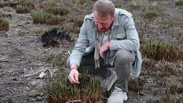 Yangında zarar gören 'Kuş Cenneti'nde büyük risk