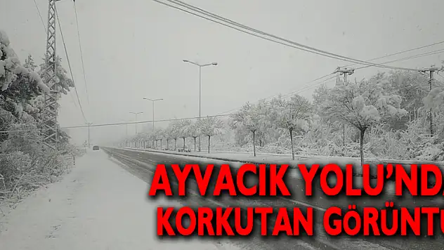 Ayvacık Yolu'nda Korkutan Görüntü!