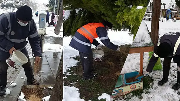 Doğaya kuşlar için yem, sokak hayvanları için mama