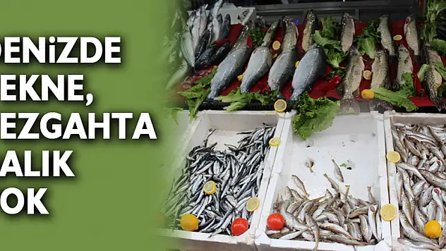 Denizde Tekne, Tezgahta Balık Yok