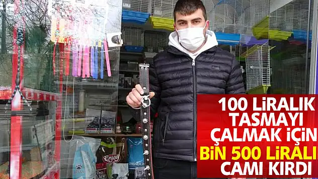 Hırsız 100 liralık tasmayı çalmak için bin 500 liralık camı kırdı
