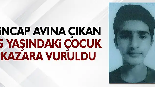 Sincap avına çıkan 15 yaşındaki çocuk kazara vurularak hayatını kaybetti