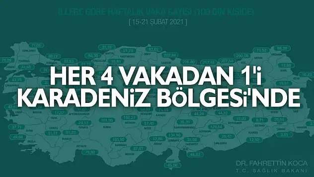 Türkiye'de her 4 vakadan 1'i Karadeniz Bölgesi'nde