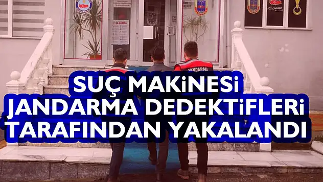 Suç makinesi jandarma dedektifleri tarafından yakalandı