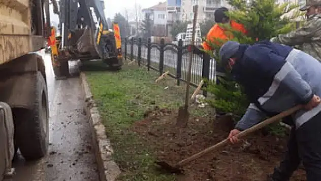 Samsun-Sinop yolunda refüj düzenleme çalışması
