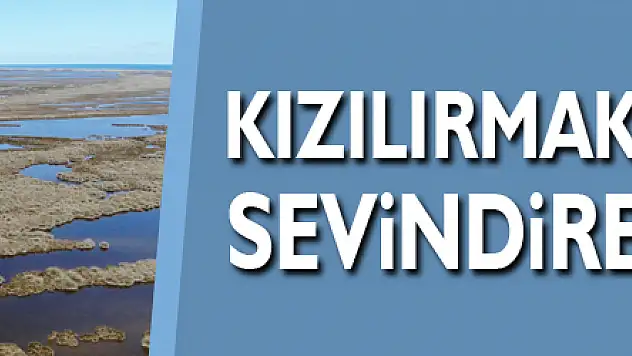Kızılırmak Deltası'nda sevindiren görüntü