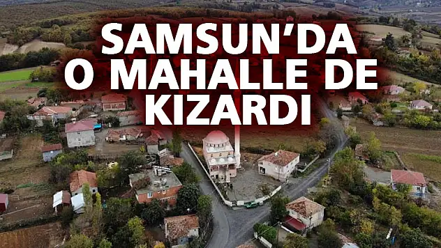 Samsun'da o mahalle de kızardı