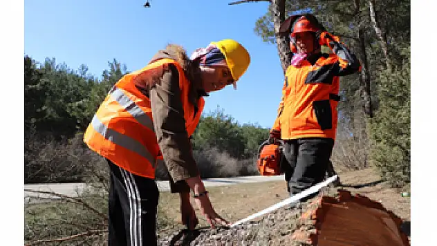 Türkiye'nin akciğerleri kadınlara emanet: Bu ormanda pozitif ayrımcılık var