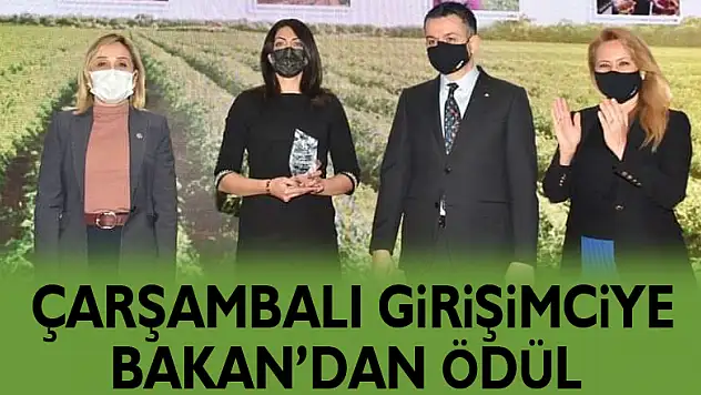 ÇARŞAMBALI GİRİŞİMCİYE BAKAN'DAN ÖDÜL