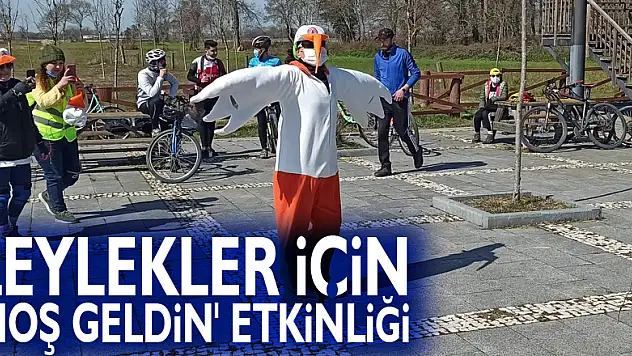 7 bin kilometre yol kat edip gelen leylekler için 'hoş geldin' etkinliği