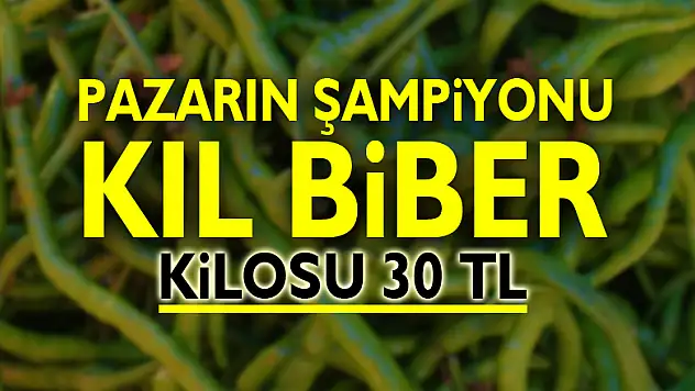 Pazarın şampiyonu kıl biber: Kilosu 30 TL